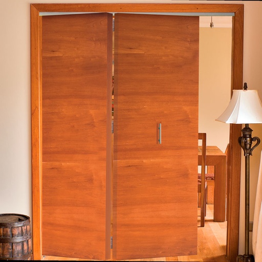 [DN-80PL2PTS] SISTEMA PLEGABLE DOS PUERTAS 40Kg DUCASSE DN-80PL2PTS